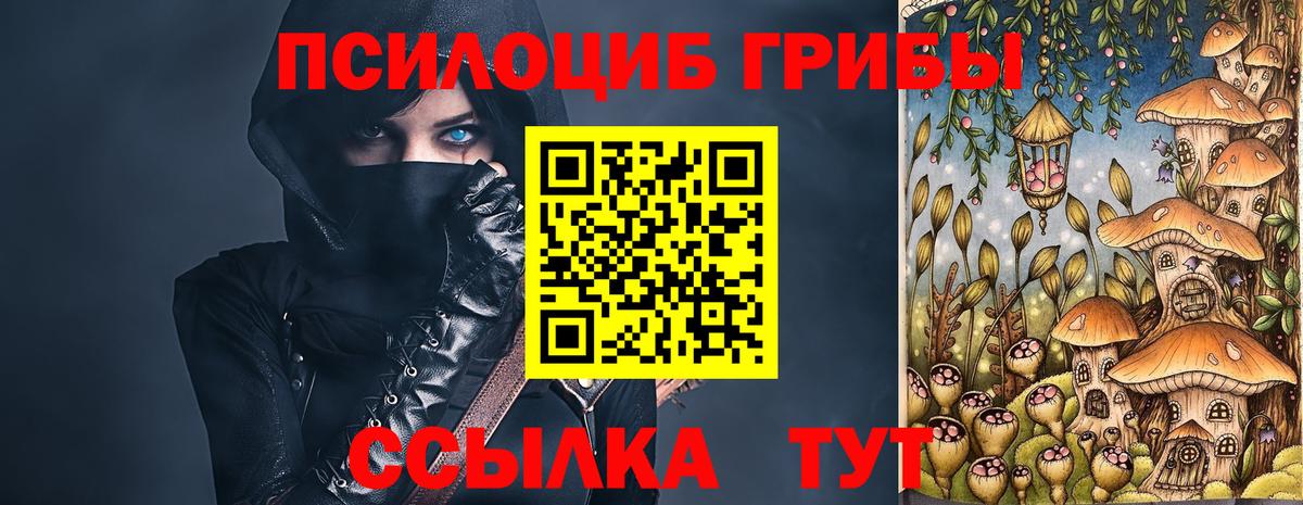 Камышин  Псилоцибиновые грибы Psilocybe  Вход с VPN 